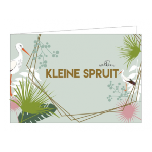 Kaarten | Kleine spruit blauw